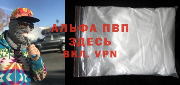 прущие грибы Вязьма