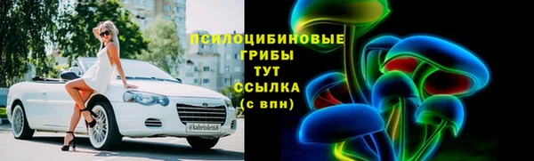 прущие грибы Вязьма