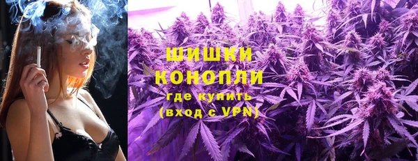 прущие грибы Вязьма
