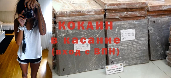 прущие грибы Вязьма