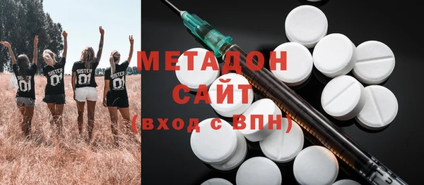 прущие грибы Вязьма