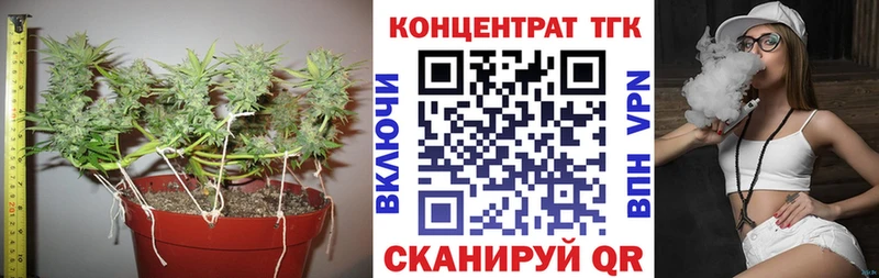 закладка  Москва  ТГК концентрат 
