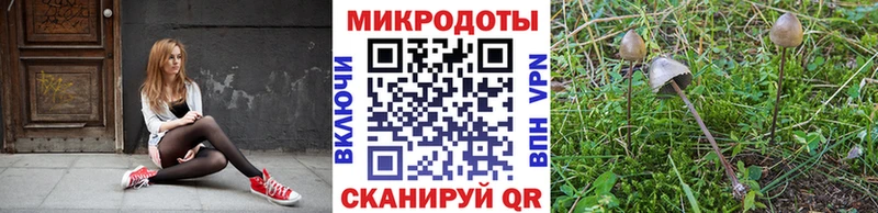 площадка формула  магазин продажи наркотиков  Москва  Галлюциногенные грибы Psilocybe 